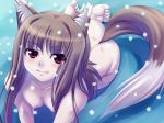 1girl animal_ears barefoot breasts brown_hair fang feet female fujirin grass holo horo long_hair nipples nude outdoors outside red_eyes snow soles solo spice_and_wolf tail toes wolf_ears zenra