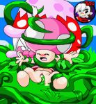 toadette from nintendo by shadowlink350