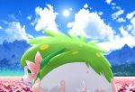  pokemon shaymin tagme wkar 