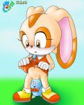 cheese_the_chao cream_the_rabbit curby sega sonic_team sonic_x