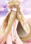 1girl ;p animal_ears apple apples brown_hair cape food fruit holo horo long_hair naked_cape nude one_eye_closed red_eyes shiroi_noria solo spice_and_wolf tail tongue tongue_out wink wolf_ears