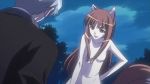 horo from spice and wolf