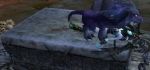 animated beastiality druid gif night_elf sabre succubus world_of_warcraft