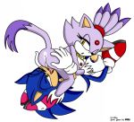 blaze_the_cat riku sega sonic sonic_team sonic_the_hedgehog