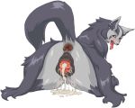 1girl aftersex anus ass blush cum cumdrip fat_mons fur furry looking_at_viewer looking_back mightyena nezumi nezunezu open_mouth pokemon pussy red_eyes simple_background solo tail tongue white_background