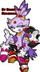  blaze_the_cat sega shadow_the_hedgehog sonic text 