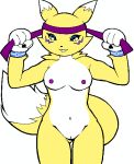 1_anthro 1_female 1_female_anthro 1_girl 1girl 4_fingers animal_ears anthro anthro_canine anthro_fox anthro_vixen blue_eyes breasts canine digimon digimon_tamers female female_anthro female_anthro_fox female_renamon fox fur furry g-sun navel nipples nude pussy renamon smile solo standing tail toei_animation vixen white_fur yellow_fur yin_yang