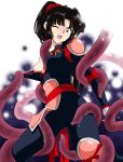 inuyasha sango tagme