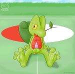 pokemon raukue tagme treecko