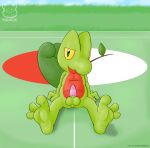 pokemon raukue tagme treecko