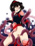 inuyasha sango tagme