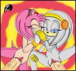 amy_rose anthro clitoris female_focus group_sex nude penis pussy sega solo_focus sonic_the_hedgehog_(series) spread_legs text vaginal zeta zeta_the_echidna zetar02 zetar02_(artist)