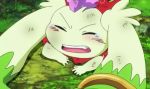pokota from slayers