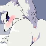  animal_crossing anus artist_request bianca_(animal_crossing) blue_eyes blush doubutsu_no_mori furry lowres nintendo oekaki open_mouth pussy tail vagina whitney_(animal_crossing) wolf 