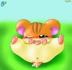  curby hamtaro tagme torahamu-chan whiskers 