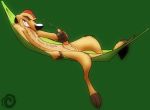 disney tagme the_lion_king timon