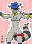 1boy furry male male_only sly_cooper sly_cooper_(series) solo tagme zenmigawa