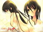  shakugan_no_shana shana tagme 