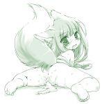 horo from spice and wolf