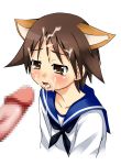  1girl animal_ears cat_ears cum cum_in_mouth cum_on_hair fellatio miyafuji_yoshika nekomimi oral penis petapann sex solo solo_focus strike_witches tears yoshika_miyafuji 