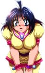  amelia amelia_wil_tesla_seyruun bending_forward big_breasts blushing_at_viewer cleavage cute_fangs looking_at_viewer nipple_bulge slayers 