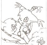  digimon gatomon patamon tagme 