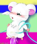 blush curby hamtaro ribon-chan tagme