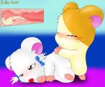 bow curby hamtaro ribon-chan tagme