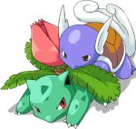  ivysaur pokemon tagme wartortle 