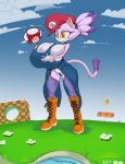 1girl 1girl 2016 anthro big_breasts blaze_the_cat breasts cat cosplay feline furry huge_breasts mammal mario mario_bros nintendo sega snao video_games