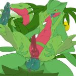 anal anus cum grovyle narse penis pokemon sceptile testicles